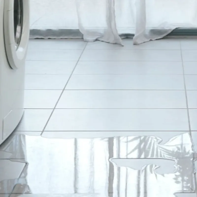 Appliance Leak Cleanup in Stonewall County, TX