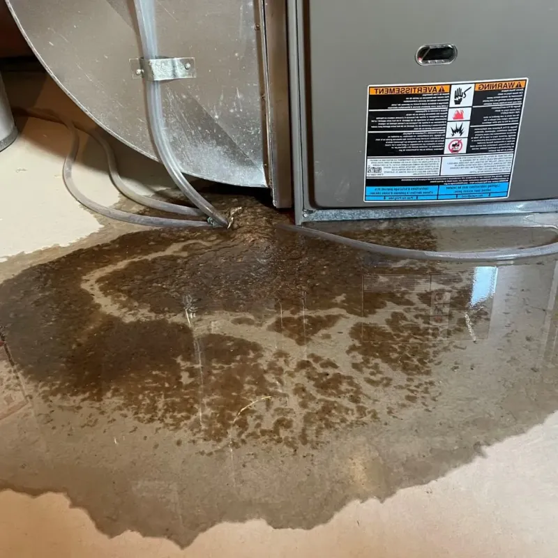 Pipe Burst and Leak Restoration in Stonewall County, TX