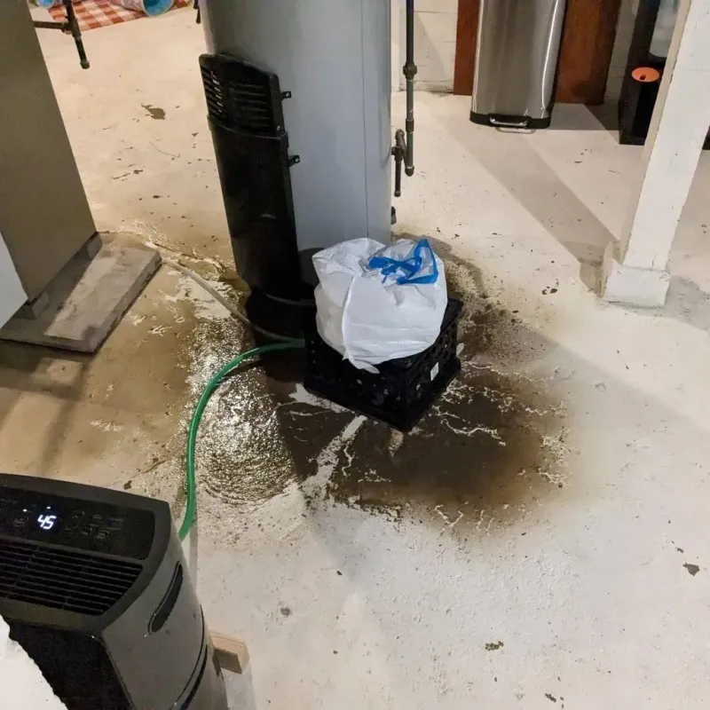 Sewage Backup Cleanup Service in Stonewall County, TX
